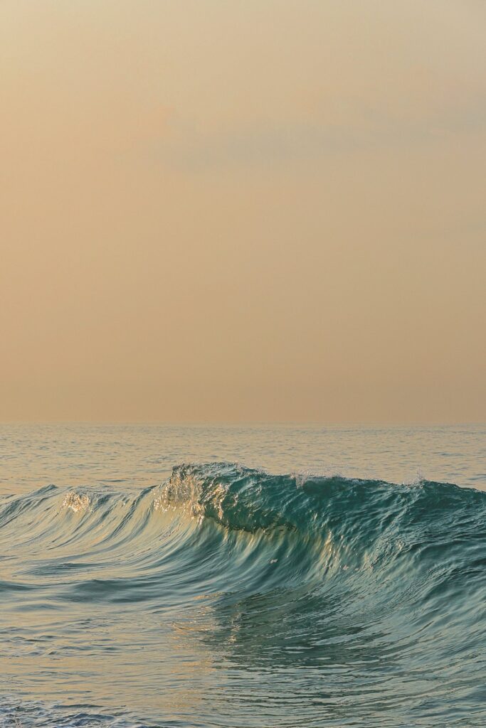 Vintermorgen i Skagen - Premium Print